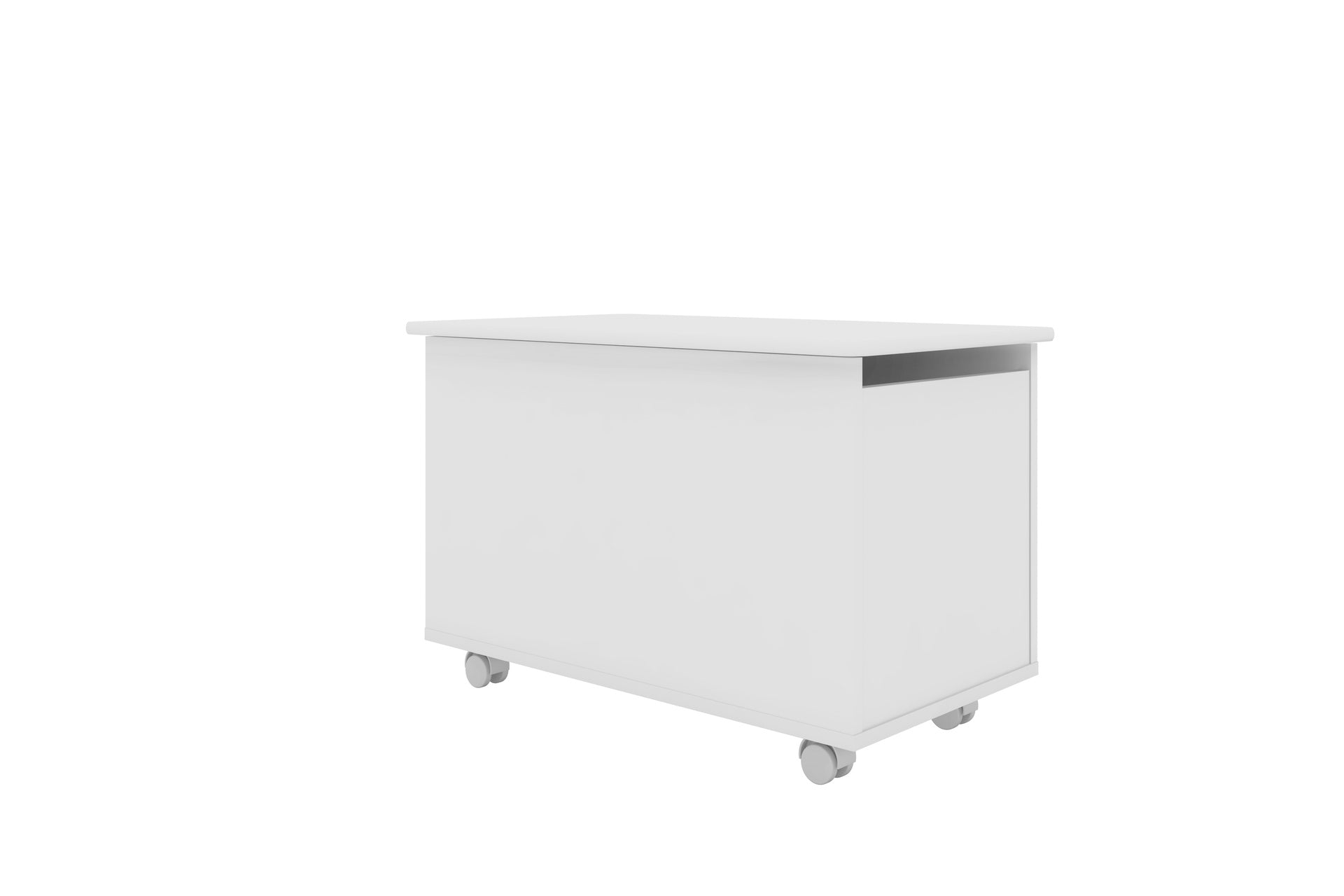 HOUSE BOX WITH WHEELS