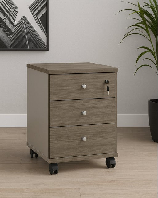 FUTURE OFFICE MOVABLE DRAWER