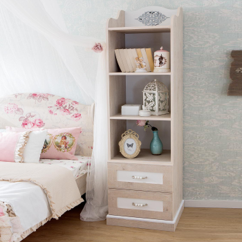 BALLERINA BOOKCASE