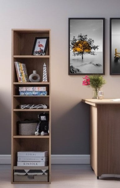 PLUS YOUNG BOOKSHELF