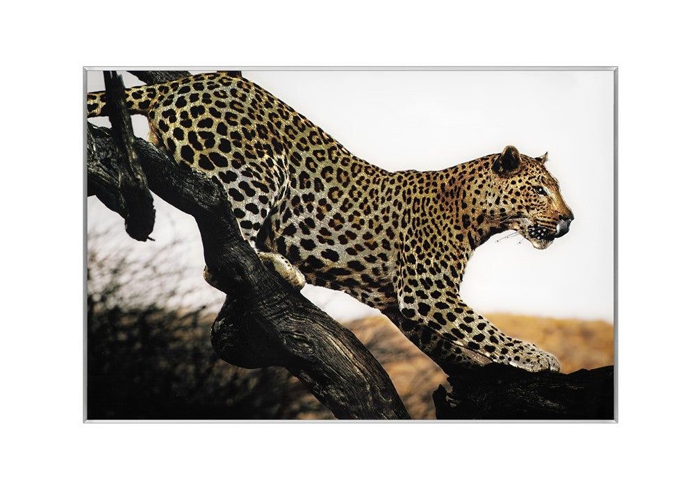 LEOPARD WALL ART